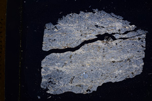 Cross Polarized, E4374