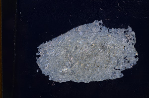 Cross Polarized, E4376