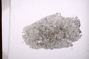 Plane Polarized, E4376