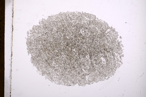 Plane Polarized, E4377