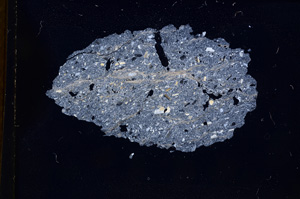 Cross Polarized, E4378