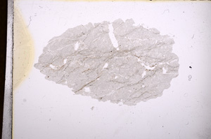 Plane Polarized, E4378