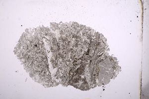 Plane Polarized, E4379