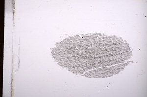 Plane Polarized, E4381