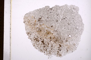 Plane Polarized, E4383