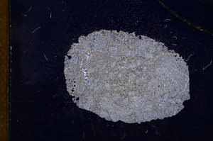 Cross Polarized, E4384