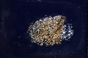 Cross Polarized, E4385