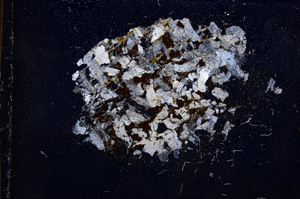 Cross Polarized, E4389