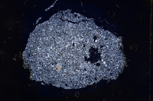 Cross Polarized, E4395