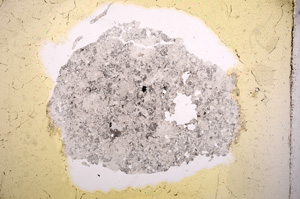 Plane Polarized, E4395