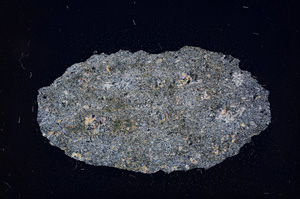 Cross Polarized, E4402