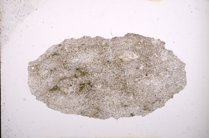 Plane Polarized, E4402