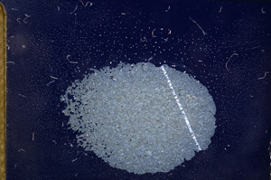 Cross Polarized, E4403