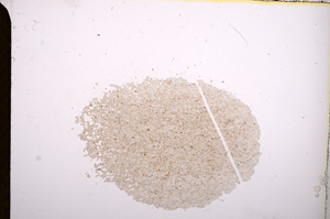 Plane Polarized, E4403