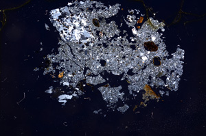 Cross Polarized, E4417