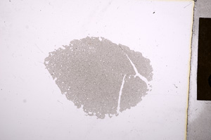 Plane Polarized, E4427