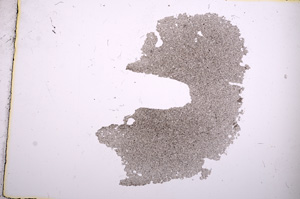 Plane Polarized, E4428