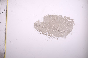 Plane Polarized, E4432