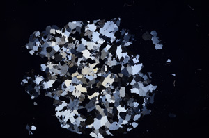 Cross Polarized, E4466