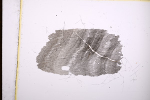 Plane Polarized, E4475