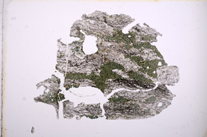 Plane Polarized, E4477