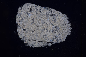 Cross Polarized, E4482