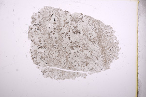 Plane Polarized, E4482