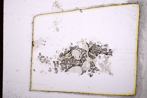 Plane Polarized, E4497