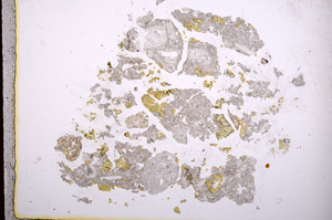 Plane Polarized, E4498