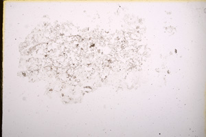 Plane Polarized, E4511