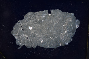 Cross Polarized, E4515