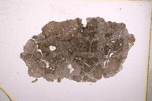 Plane Polarized, E4515