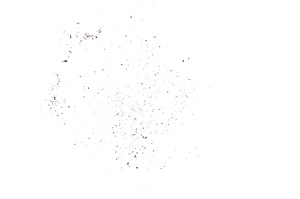 Plane Polarized, E4549