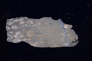 Cross Polarized, E4556