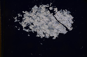 Cross Polarized, E4560