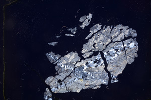 Cross Polarized, E4561