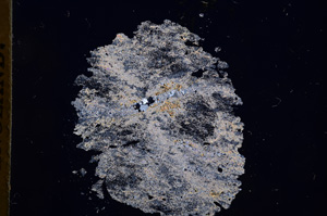 Cross Polarized, E4563
