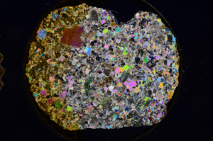 Cross Polarized, E4575