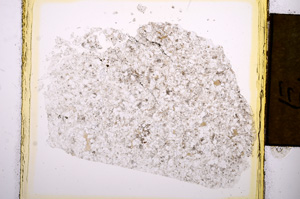 Plane Polarized, E4578