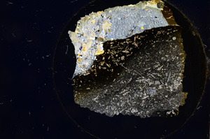 Cross Polarized, E4584