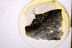 Plane Polarized, E4584