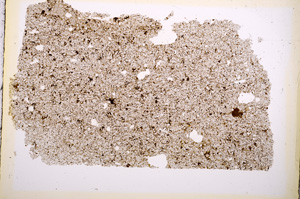 Plane Polarized, E4585
