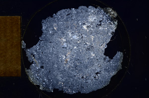 Cross Polarized, E4592