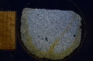 Cross Polarized, E4595