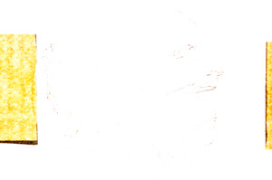 Plane Polarized, E4629