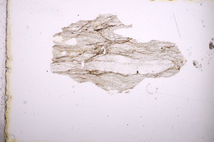 Plane Polarized, E4648