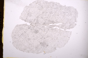 Plane Polarized, E4653