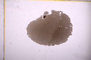 Plane Polarized, E4656