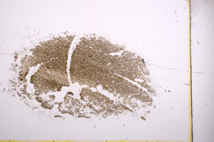 Plane Polarized, E4657