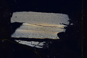 Cross Polarized, E4658